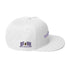 SpitFireHipHop Tagger Snapback - SpitFireHipHop